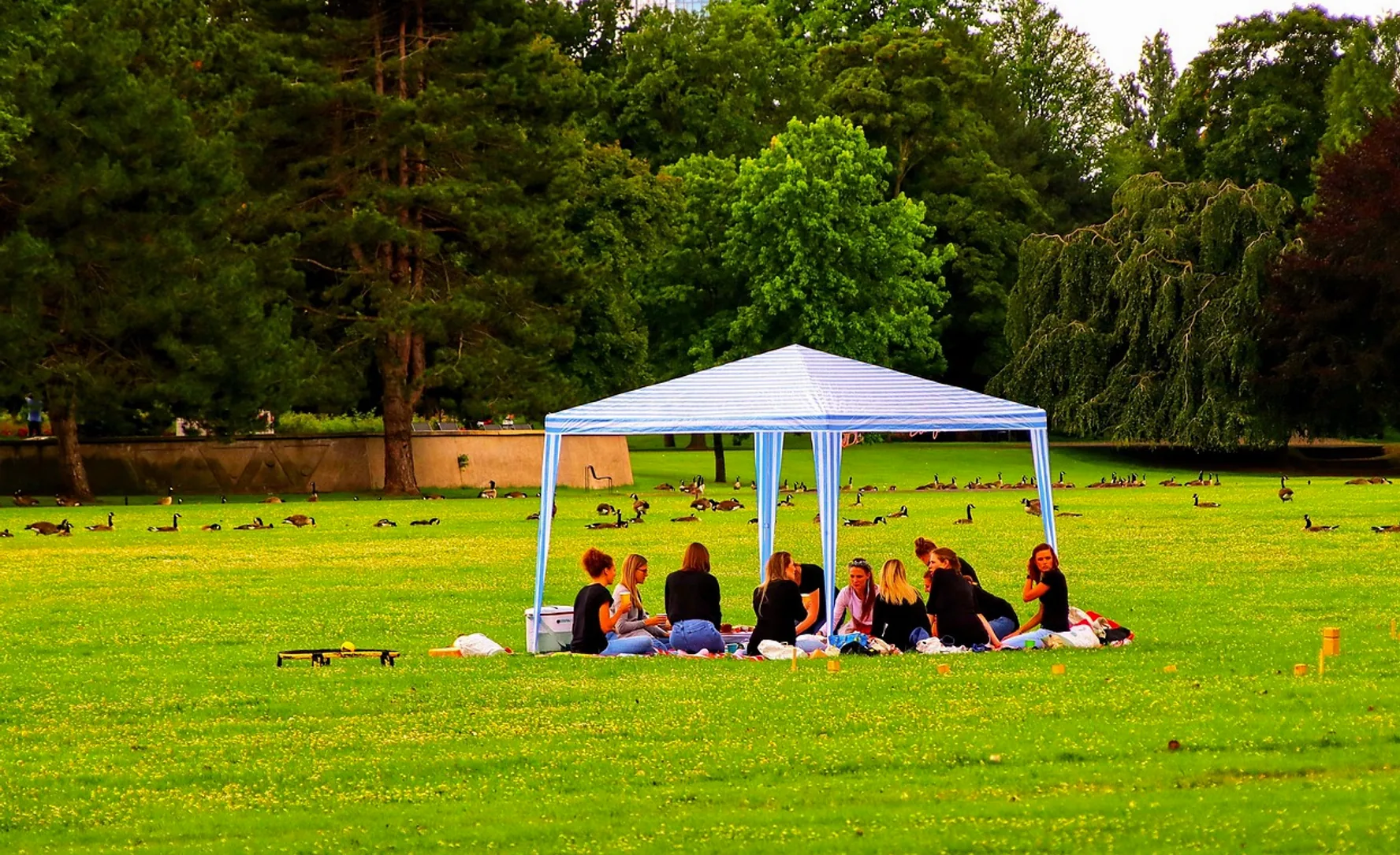 Picnic, park and fun